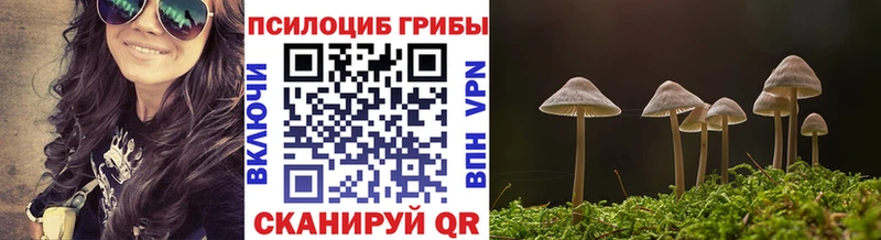 Псилоцибиновые грибы мухоморы  магазин продажи   Сибай 